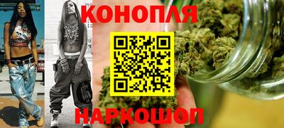 шишки Бийск