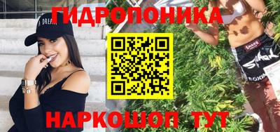 шишки Бийск