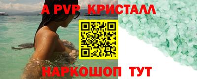 шишки Бийск