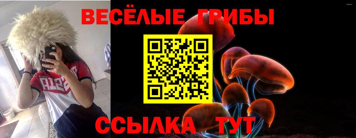 Псилоцибиновые грибы мицелий Канаш